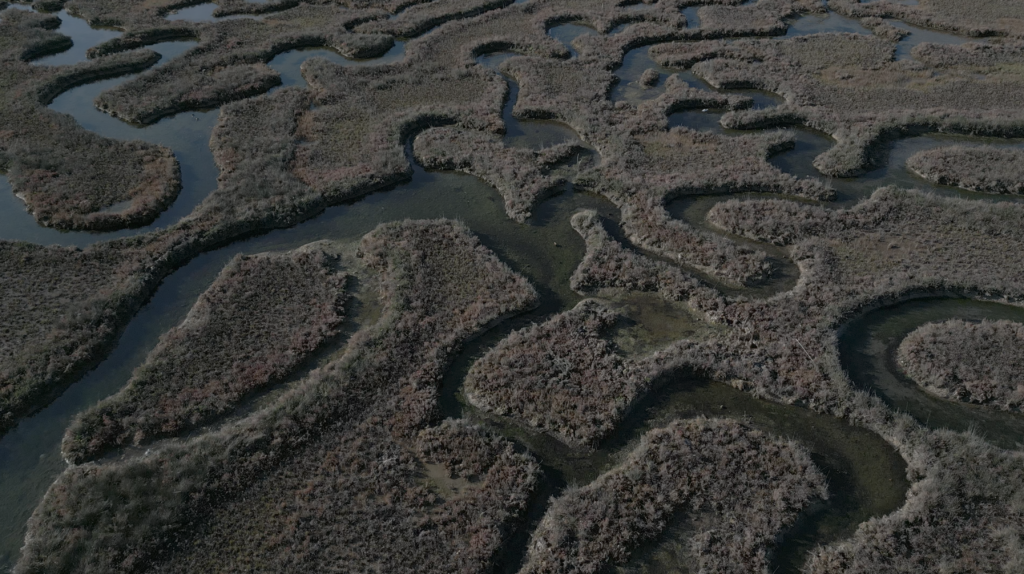 La laguna di Venezia vista con il Drone