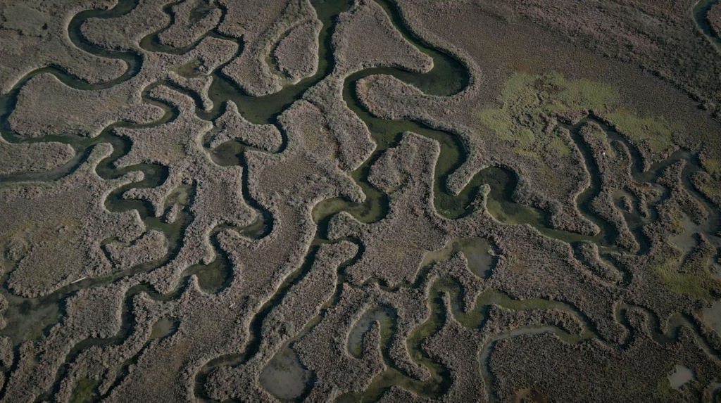 Laguna di Venezia Drone